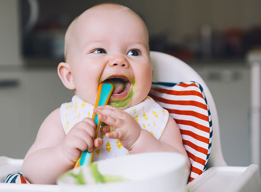 Homemade Avocado Baby Food Recipe Infantino homemade-avocado-baby-food-recipe-infantino