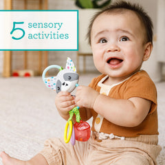 Jingle Charms Rattle Raccoon