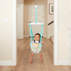 2-in-1 Music & Lights Doorway Jumper - Fox