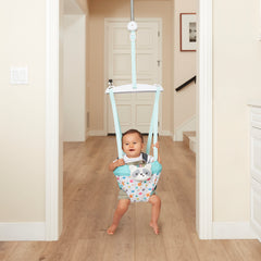 2-in-1 Music & Lights Doorway Jumper - Raccoon