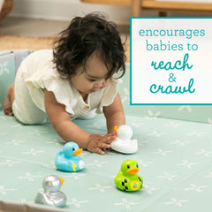 Fun Time Racer Ducks