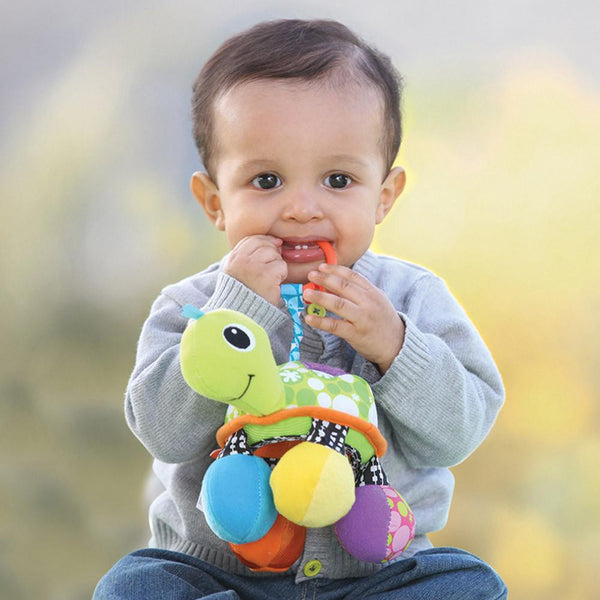 Topsy Mirror Pal Turtle Infantino