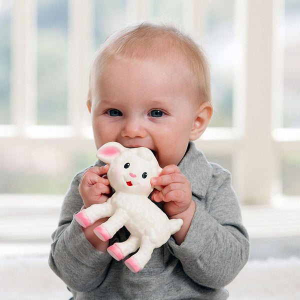 Squeeze & Teethe Lamb™ Infantino