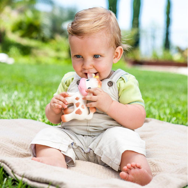 Infantino shop cow teether