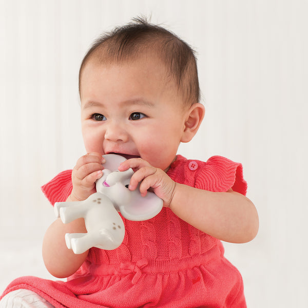 Jouet de Dentition Éléphant Naturel pour Bébé - Tikiri - Prairymood