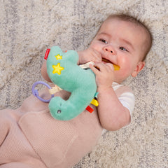 Pull & Shake Jittery Pal - Dino