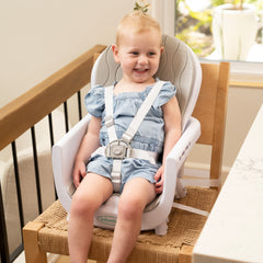 Music & Lights 8-in-1 Convertible High Chair