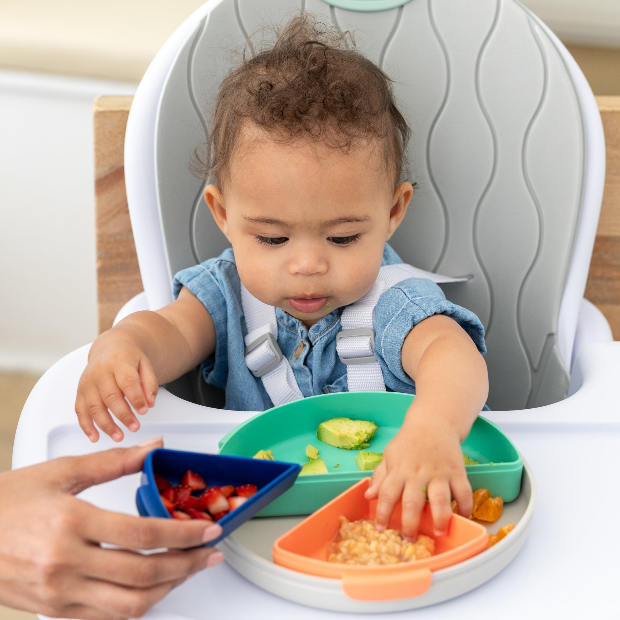 Mod Plate – Infantino