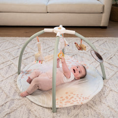 4-in-1 Twist & Fold Activity Gym & Play Mat