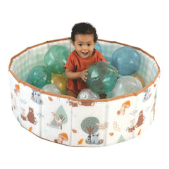 Big Fun Ball Pit