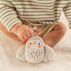 Mini Plushy Pal & Teether - Owl