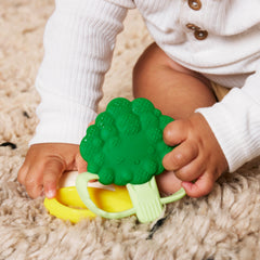 Farmers Market Teether Gift Set