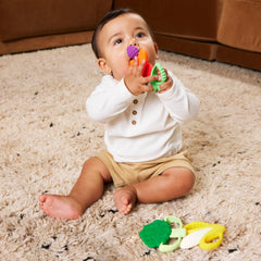 Farmers Market Teether Gift Set