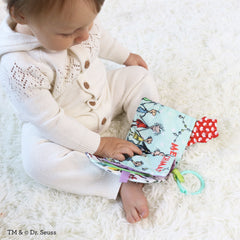 Lil' Explorer Soft Book - The Grinch
