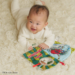 Lil' Explorer Soft Book