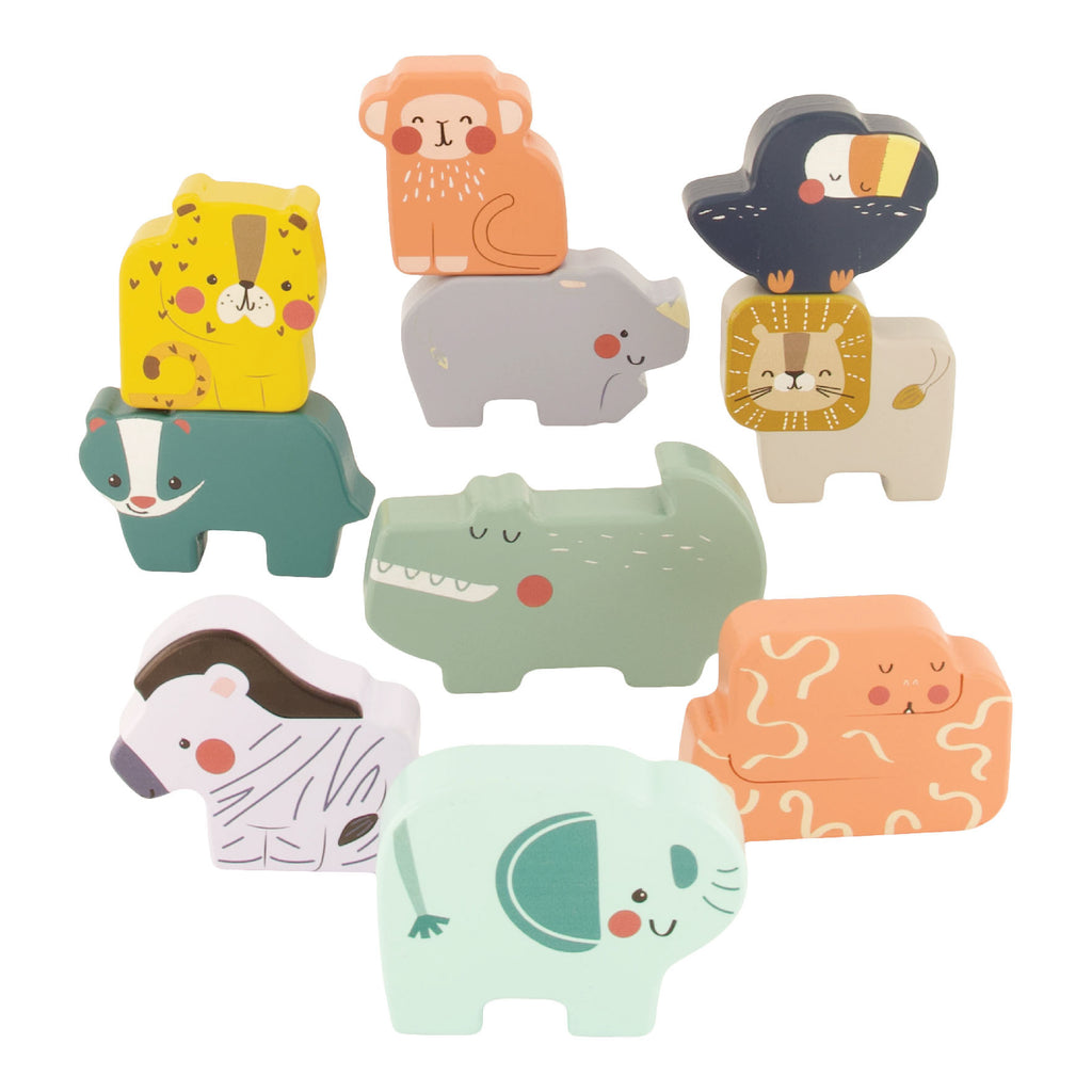 Stack & Lock Pals - 10 piece set