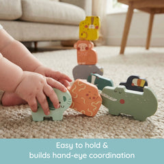 Stack & Lock Pals - 10 piece set