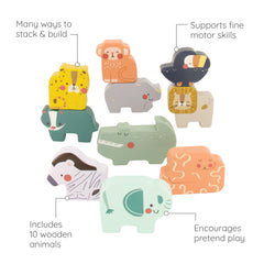 Stack & Lock Pals - 10 piece set
