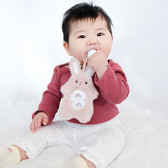 PaciPal Pacifier Stuffed Animals & Pacifier Clip 2pc Sets - Bunny