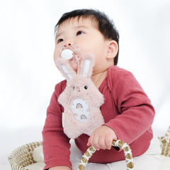 PaciPal Pacifier Stuffed Animals & Pacifier Clip 2pc Sets - Bunny