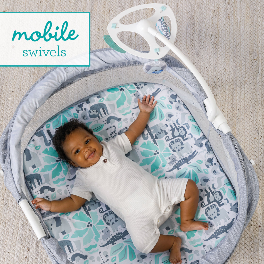 Sweet Dreams Fold Go Bassinet – Infantino1