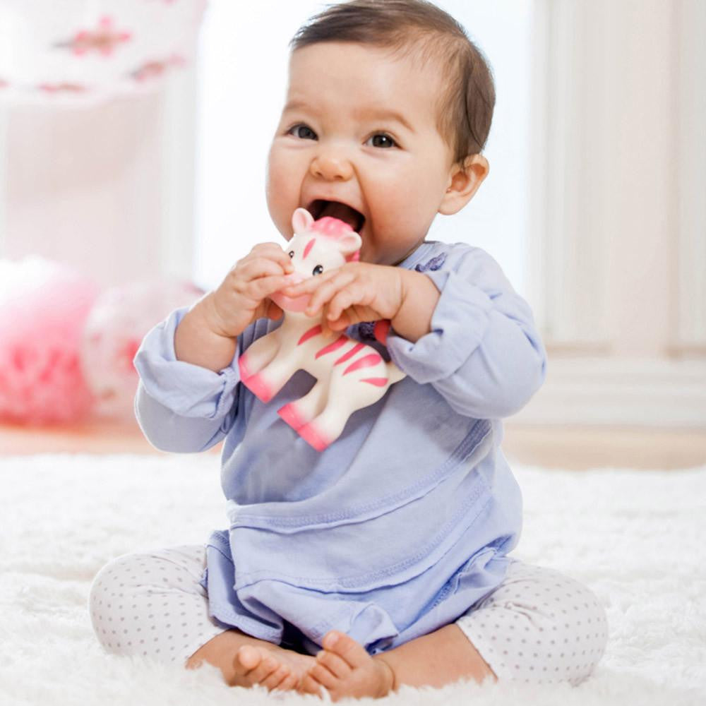 Squeeze & Teethe Zebra™ Pink – Infantino