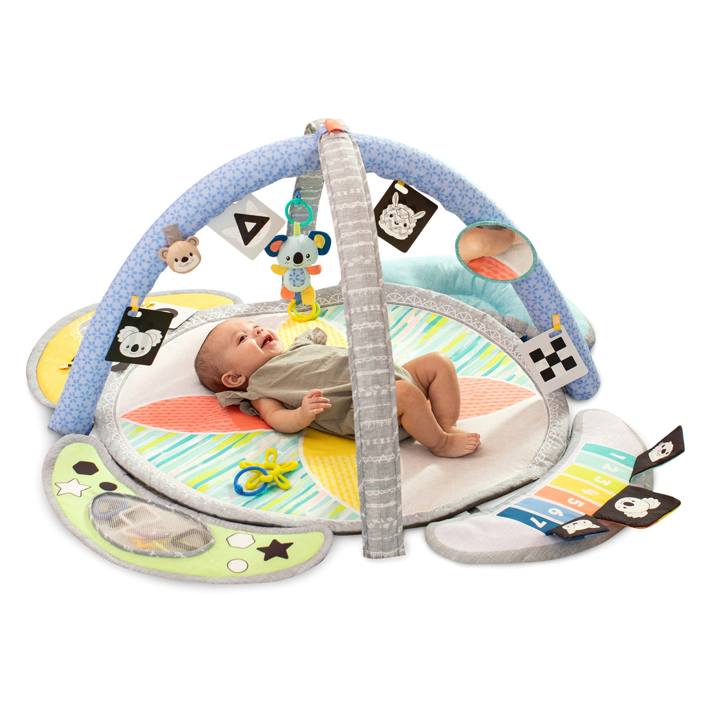 Baby gym: the definitive guide