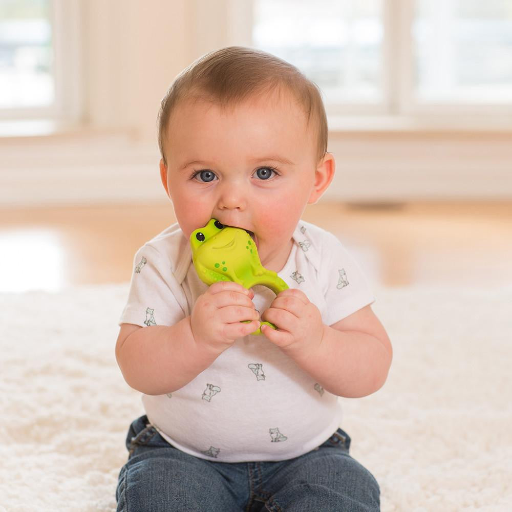 Squeeze & Teethe Textured Pal™ - Frog – Infantino